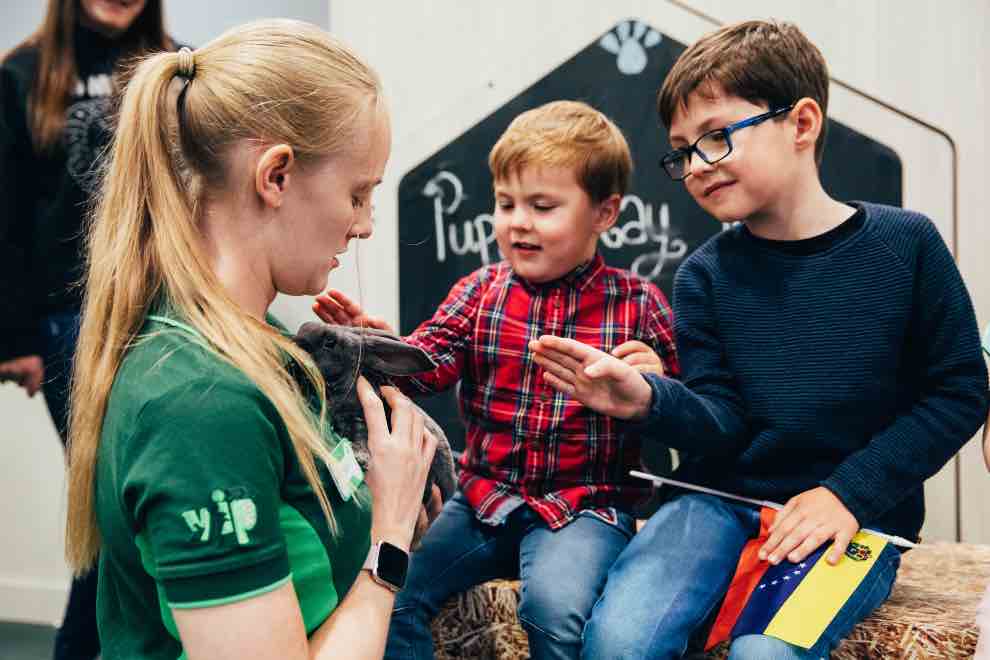 Pets at Home to host free pet for children The Exeter Daily